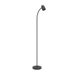 Eglo Floor Lamp Carlo Steel Black | Suitable for E14